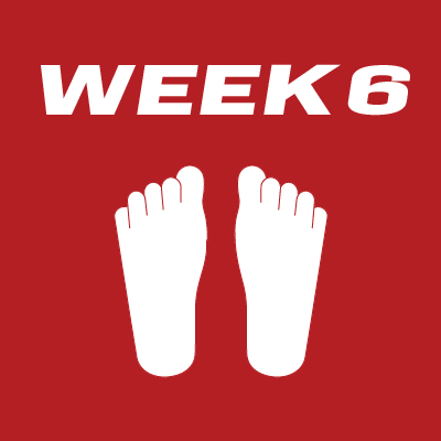 Fetal Development - Week 6