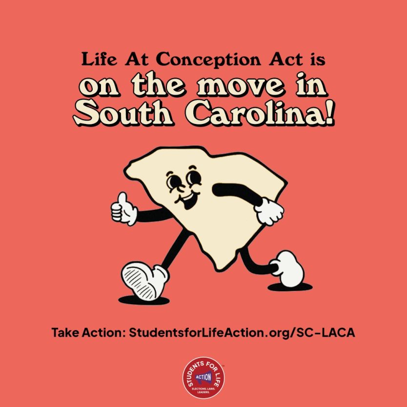 South Carolina Leaders Pass Life at Conception Act through Senate